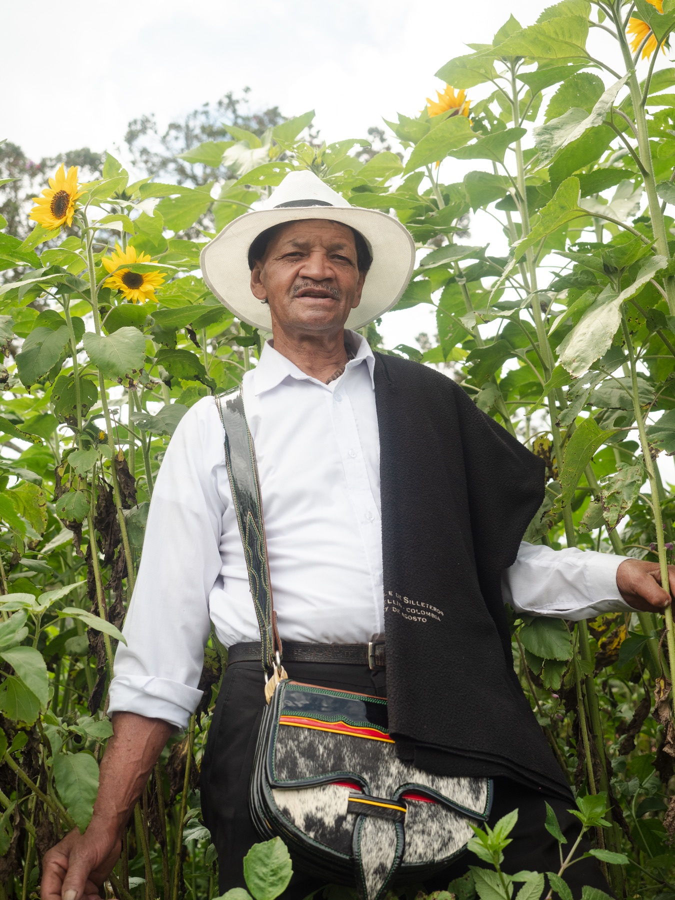 Portret en verhaalbeeld bij Los Girasoles