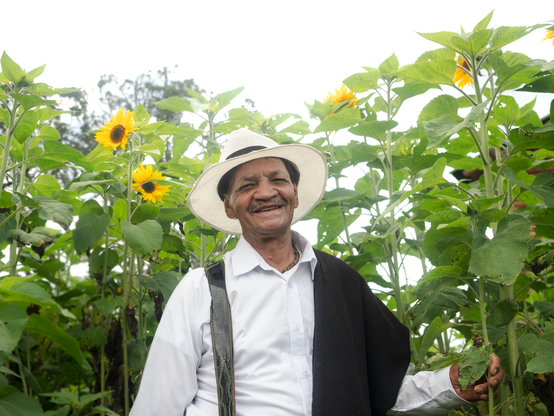 Culturele en hospitality fotografie voor Los Girasoles